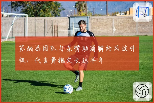 苏炳添团队与某赞助商解约风波升级，代言费拖欠长达半年