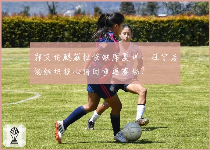 郭艾伦腿筋拉伤缺席夏训，辽宁后场组织核心何时重返赛场？